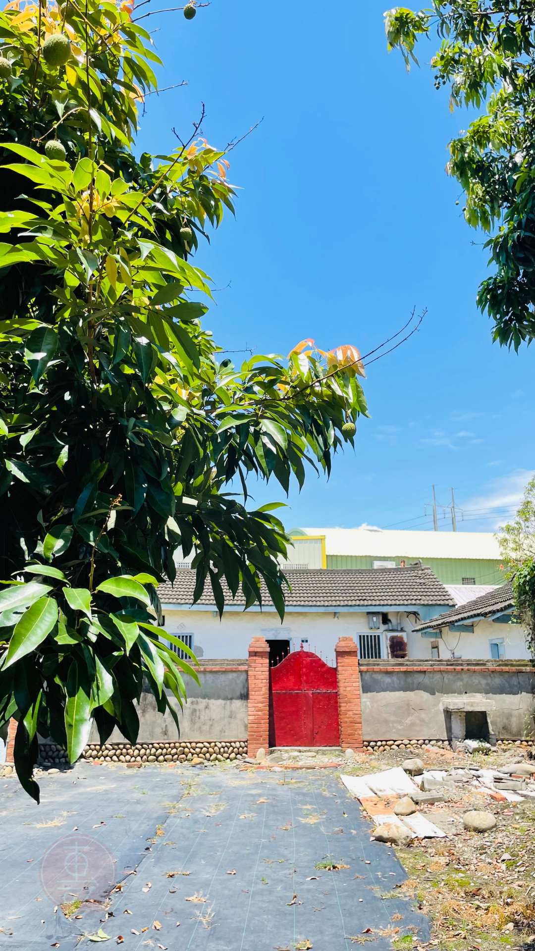 fruitxiaofamilylitchi2025053001 (9)