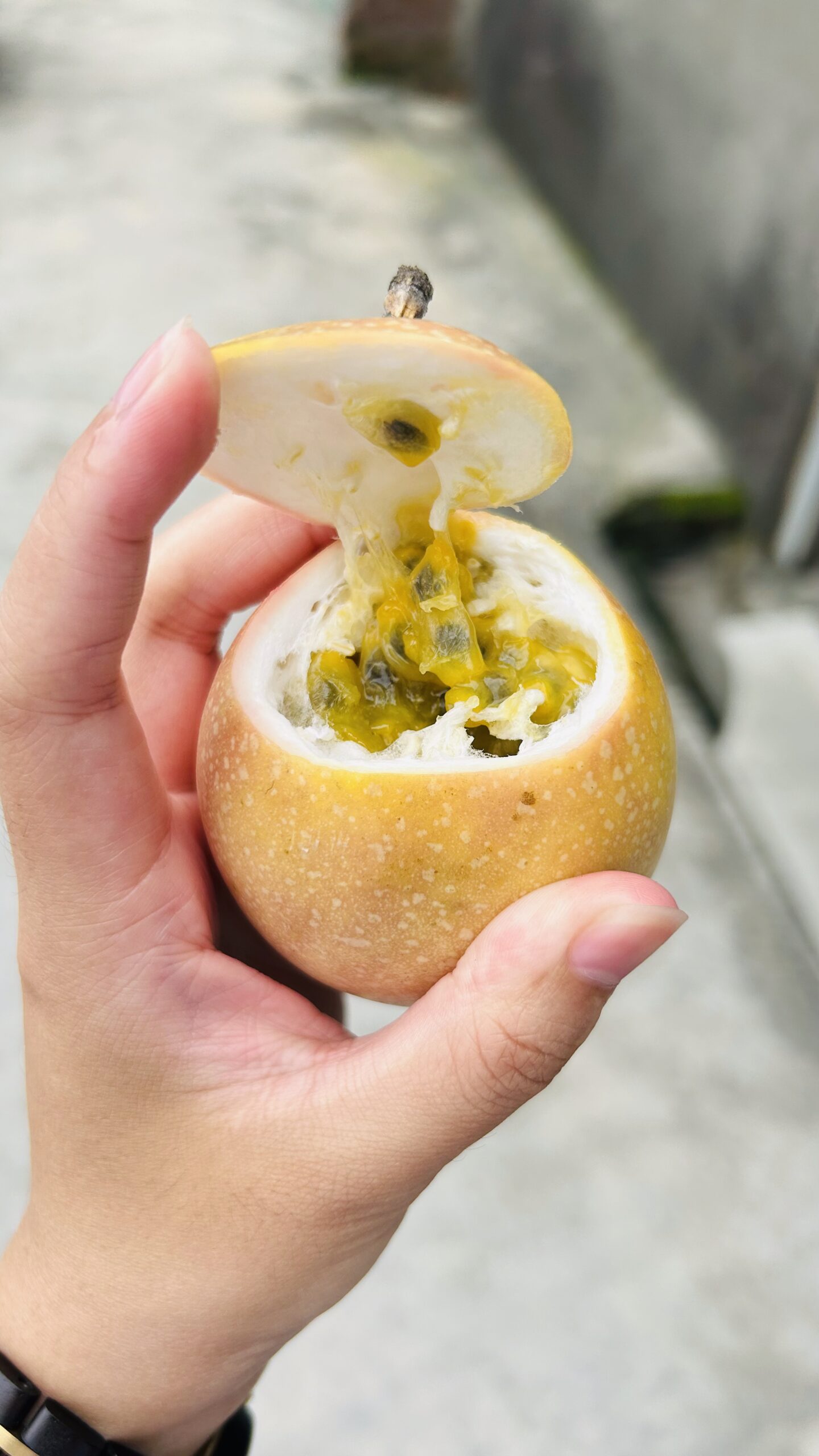 20250719_060507167_iOS