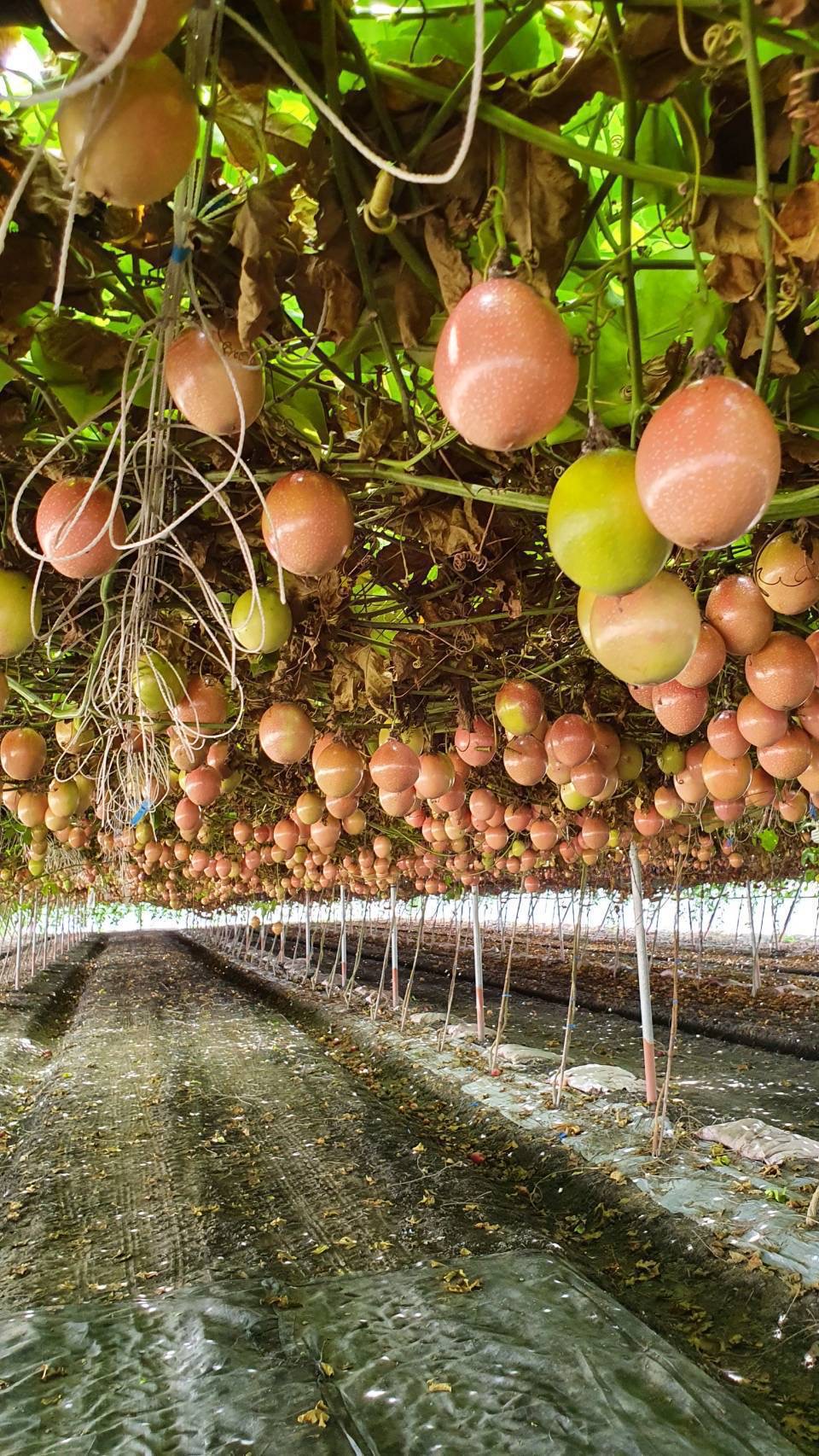 20250719_082233433_iOS